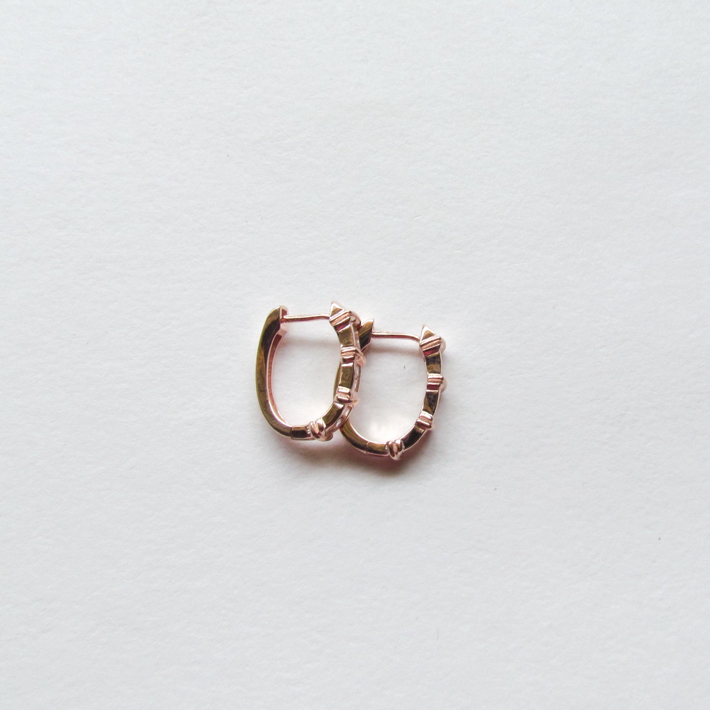 Eden Earrings